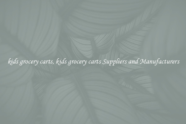 kids grocery carts, kids grocery carts Suppliers and Manufacturers