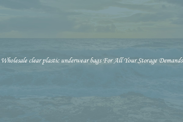 Wholesale clear plastic underwear bags For All Your Storage Demands