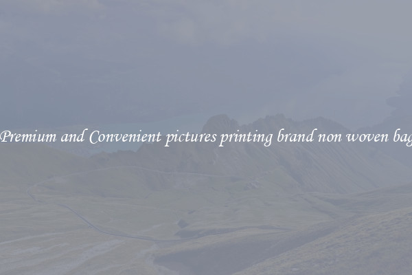 Premium and Convenient pictures printing brand non woven bag
