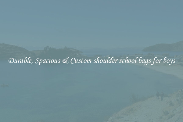 Durable, Spacious & Custom shoulder school bags for boys