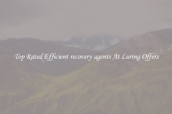 Top Rated Efficient recovery agents At Luring Offers
