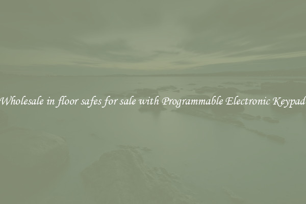 Wholesale in floor safes for sale with Programmable Electronic Keypad 