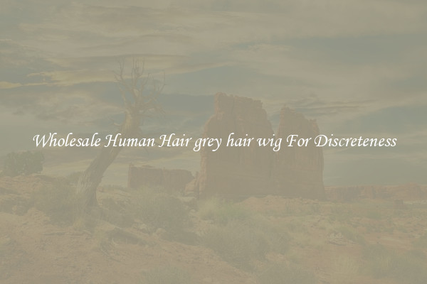 Wholesale Human Hair grey hair wig For Discreteness