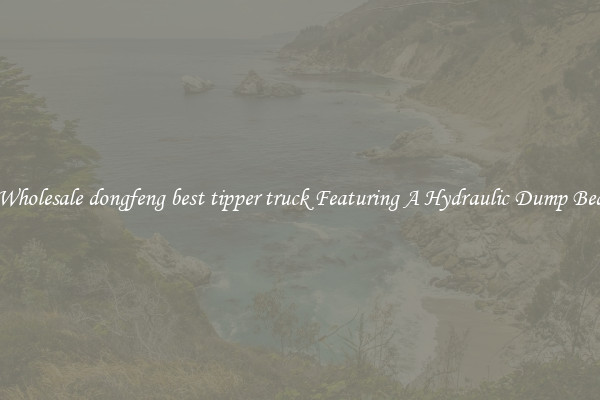 Wholesale dongfeng best tipper truck Featuring A Hydraulic Dump Bed