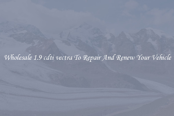 Wholesale 1.9 cdti vectra To Repair And Renew Your Vehicle