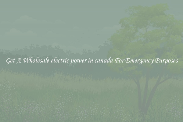 Get A Wholesale electric power in canada For Emergency Purposes