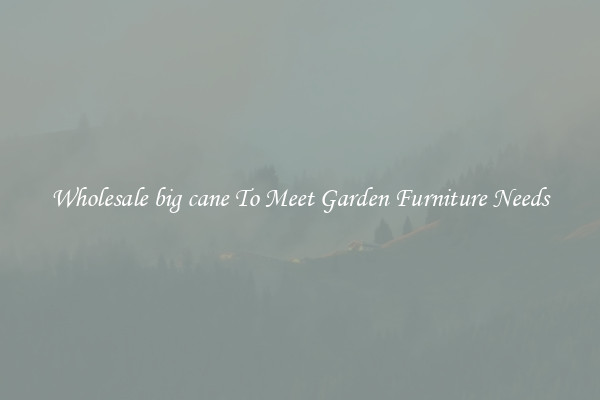 Wholesale big cane To Meet Garden Furniture Needs