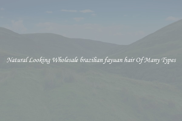 Natural Looking Wholesale brazilian fayuan hair Of Many Types