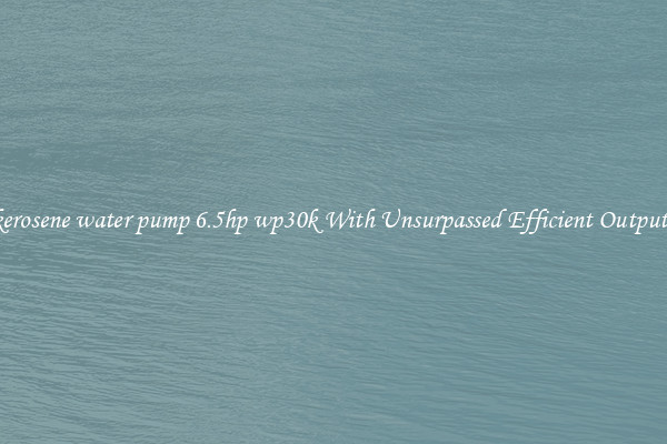 kerosene water pump 6.5hp wp30k With Unsurpassed Efficient Outputs
