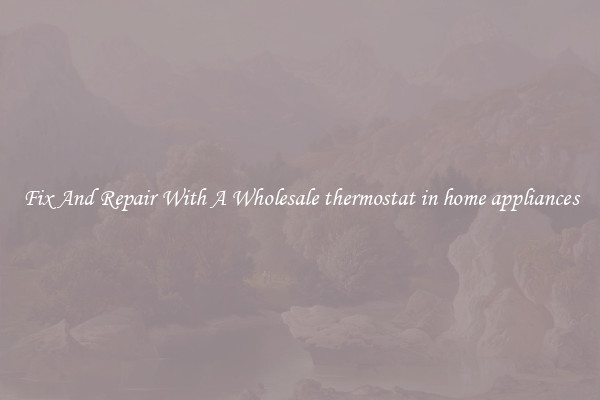 Fix And Repair With A Wholesale thermostat in home appliances