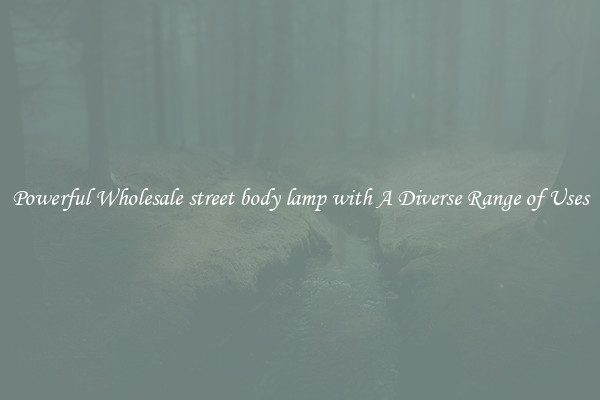 Powerful Wholesale street body lamp with A Diverse Range of Uses