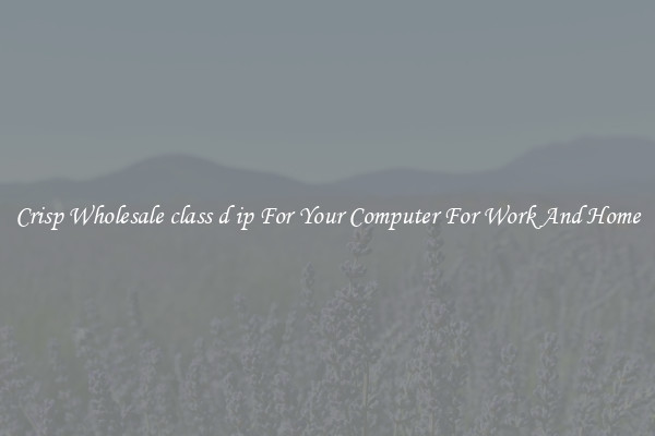 Crisp Wholesale class d ip For Your Computer For Work And Home
