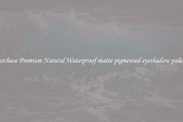 Purchase Premium Natural Waterproof matte pigmented eyeshadow palette