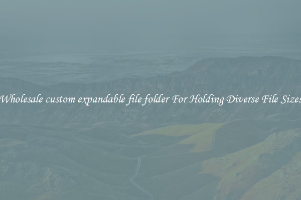 Wholesale custom expandable file folder For Holding Diverse File Sizes