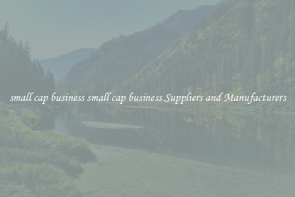small cap business small cap business Suppliers and Manufacturers