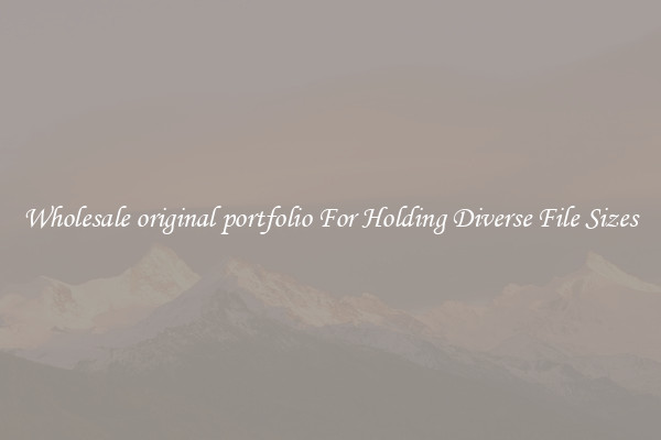 Wholesale original portfolio For Holding Diverse File Sizes